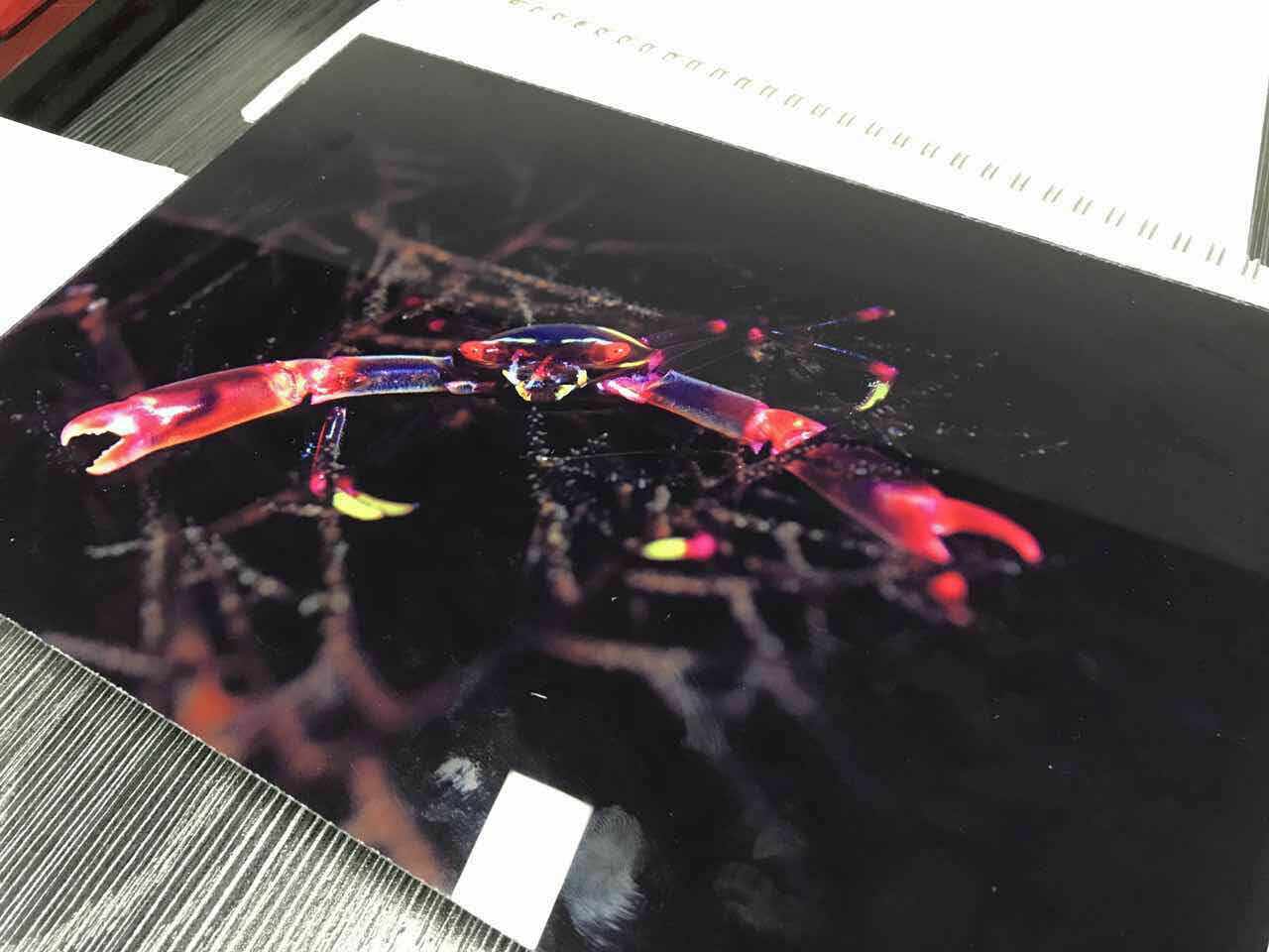 La kialo de UV -presilo por fluganta inko